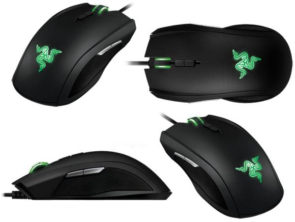 Razer Taipan
